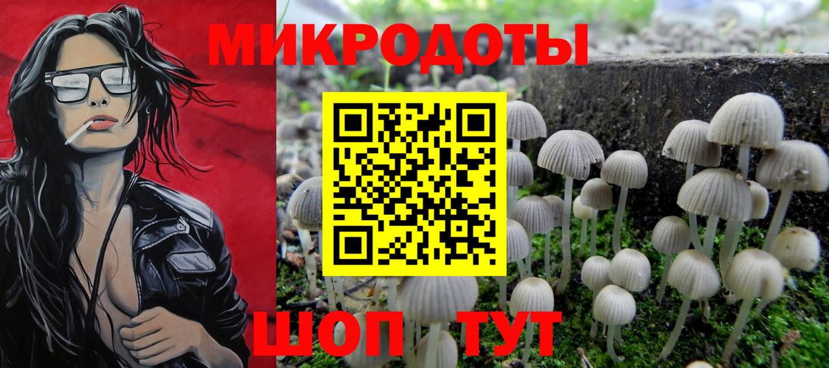 Галлюциногенные грибы Psilocybe  купить наркоту  Краснодар  Вход с VPN 